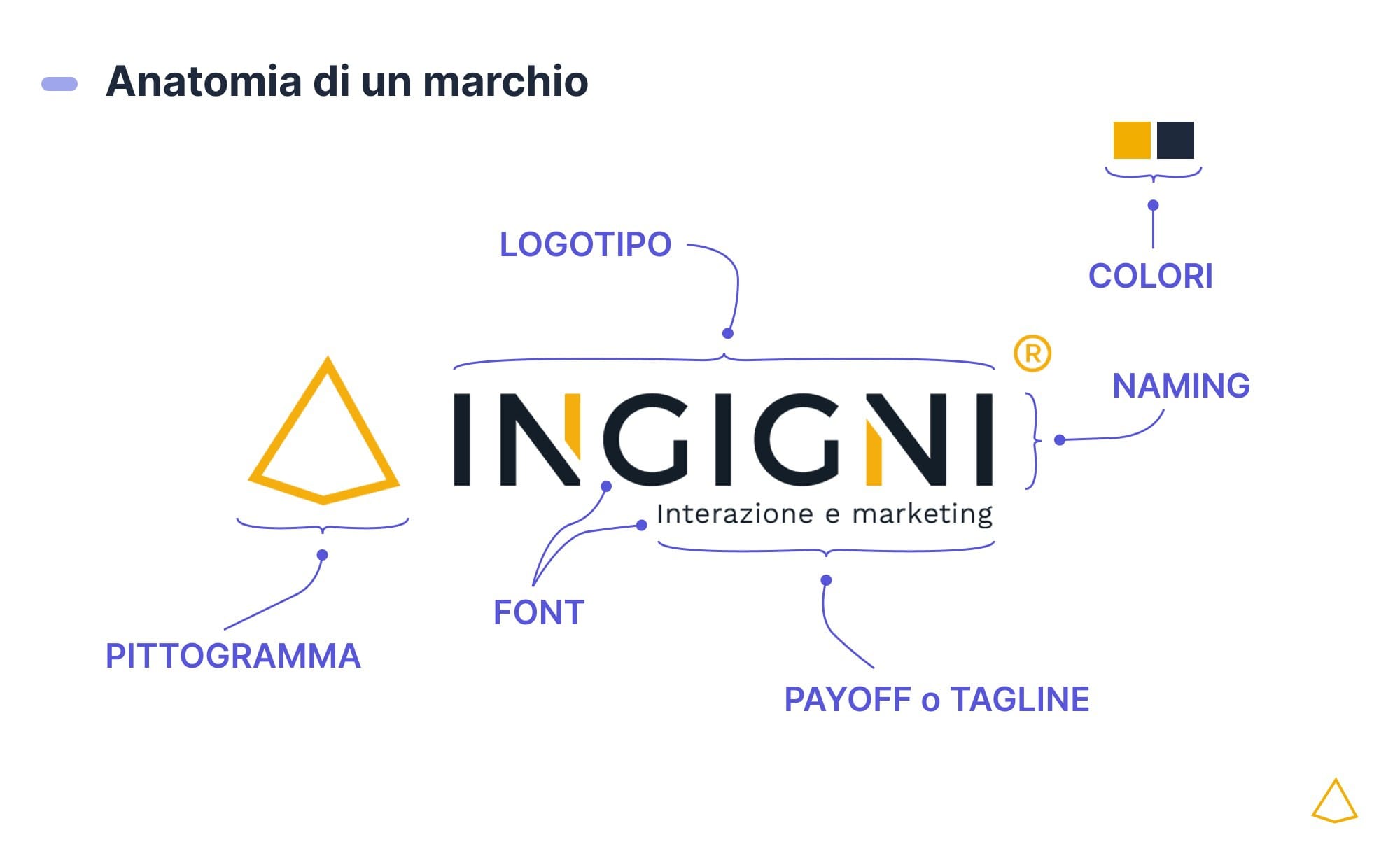 Anatomia marchio elementi Infografica contenente gli elementi che compongono il marchio Ingigni.