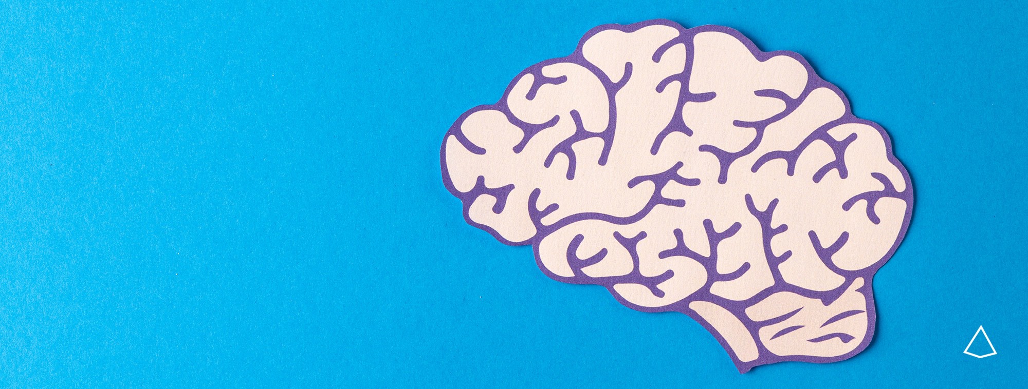 Rappresentazione stilizzata di un cervello su fondo azzurro sfumato.