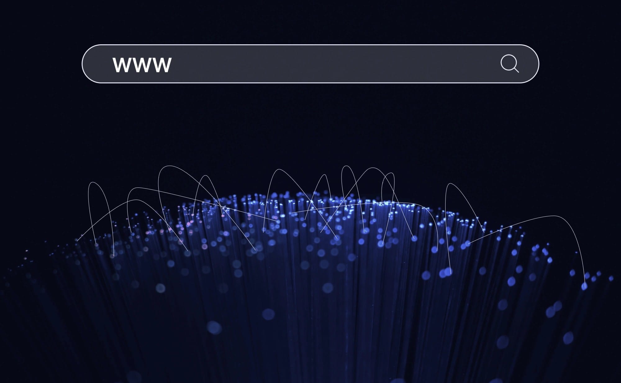 Barra di ricerca con la sigla WWW sopra un fascio di fibre ottiche luminose.